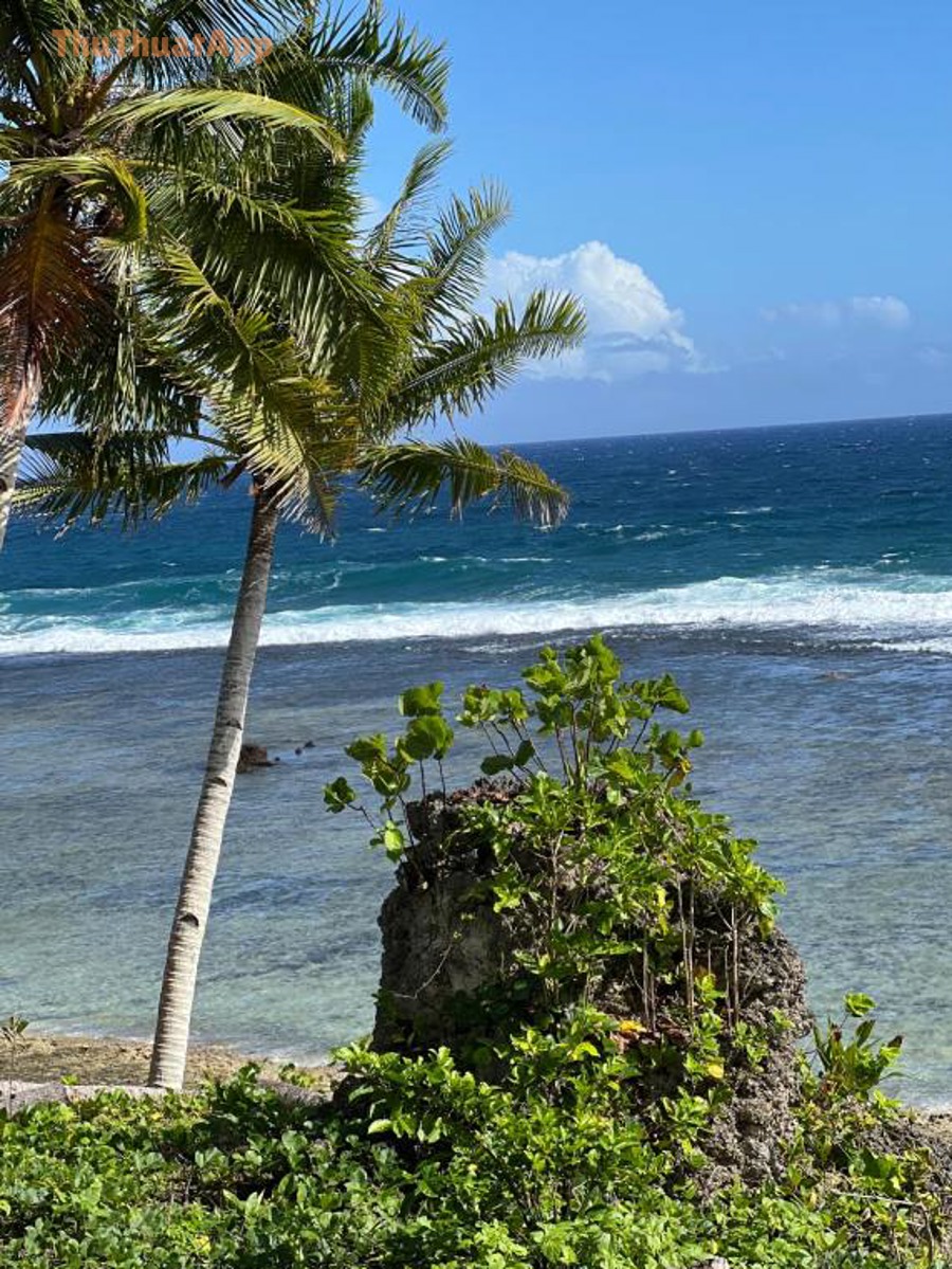 Người dùng xem đánh giá trên điện thoại