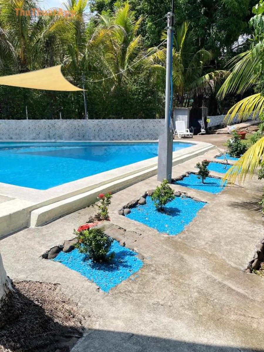 Google Maps trên điện thoại