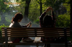 Bench people smartphone sun 24242805061