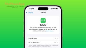 Cellular settings iPhone