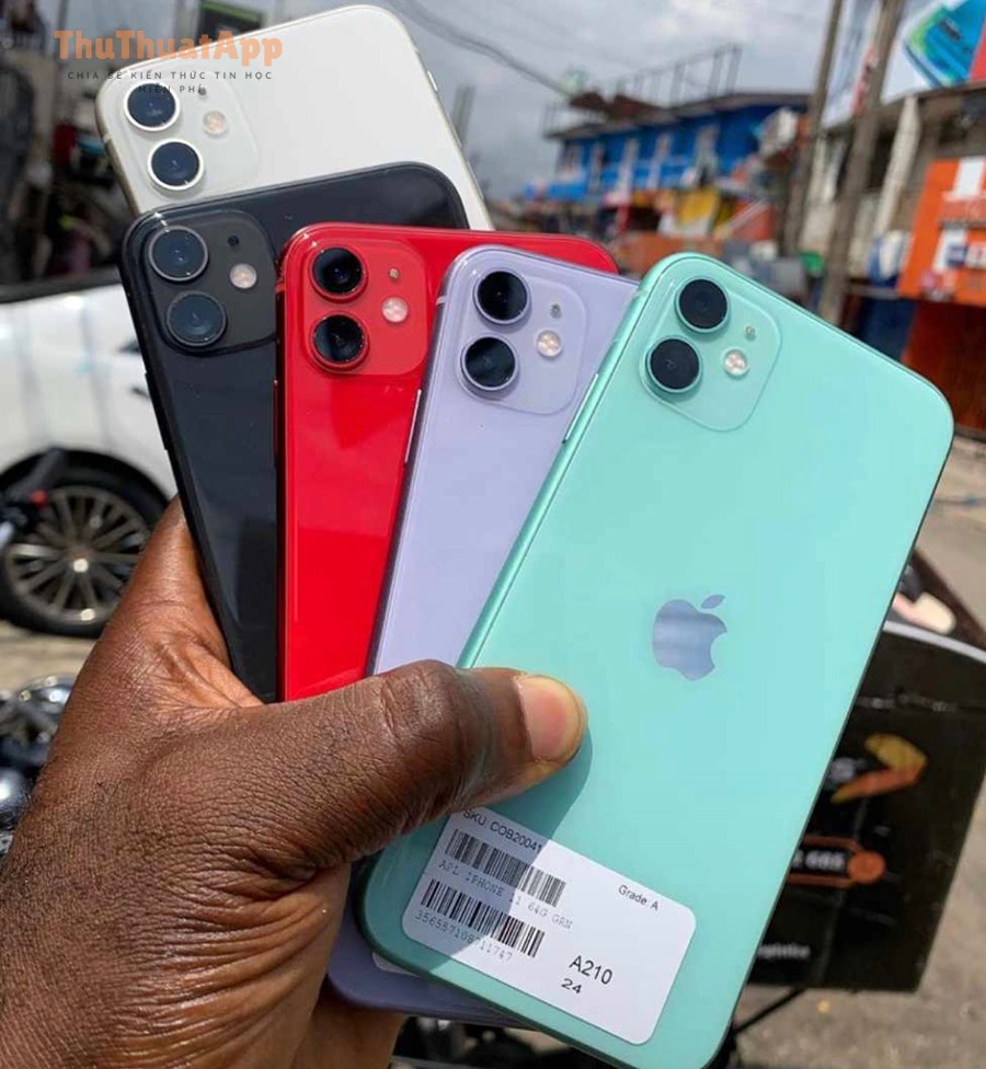 IPhone 11 all color