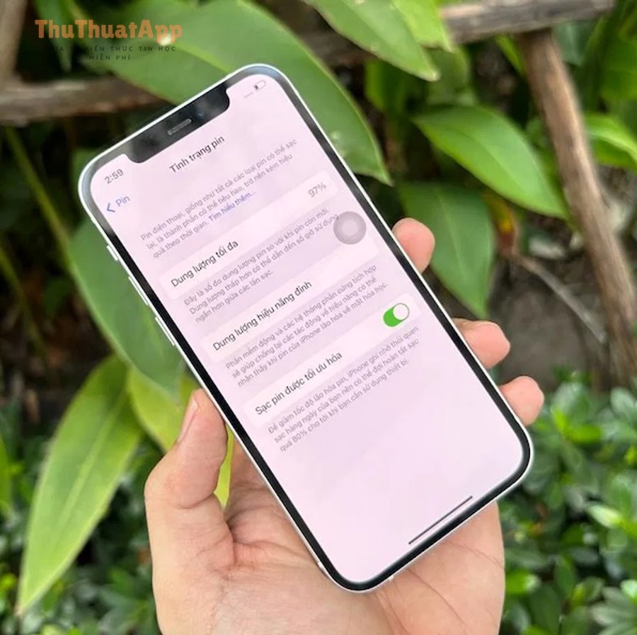 Bật True Tone iPhone: khi nào nên tắt cho người dùng mới 8 Kiem tra phan cung ben trong iphone 14 series