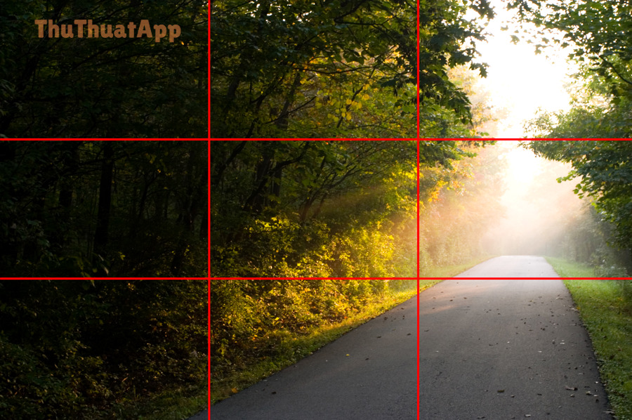 Hướng dẫn bật lưới Grid Camera iPhone cho người mới, tắt/mở 7 Rule of thirds photo