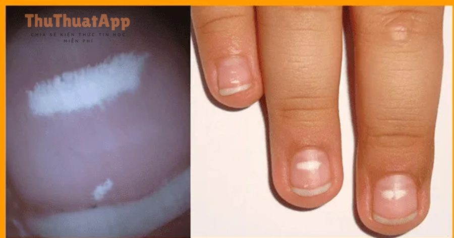 Tiết kiệm dữ liệu giúp giảm tải trước video khi lướt Instagram