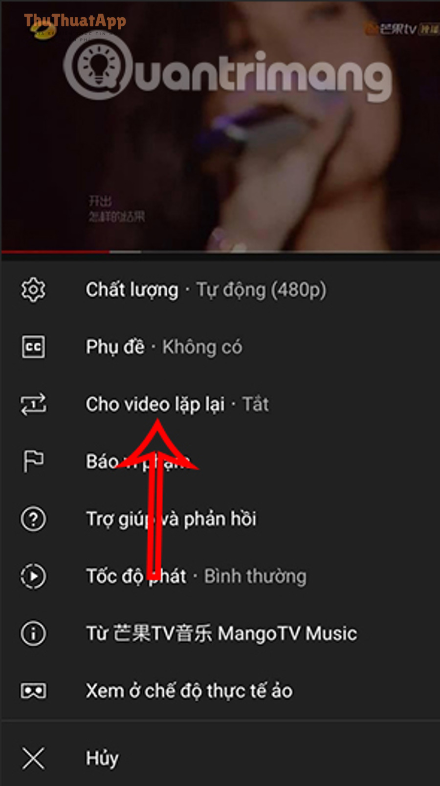 YouTube replay video 2