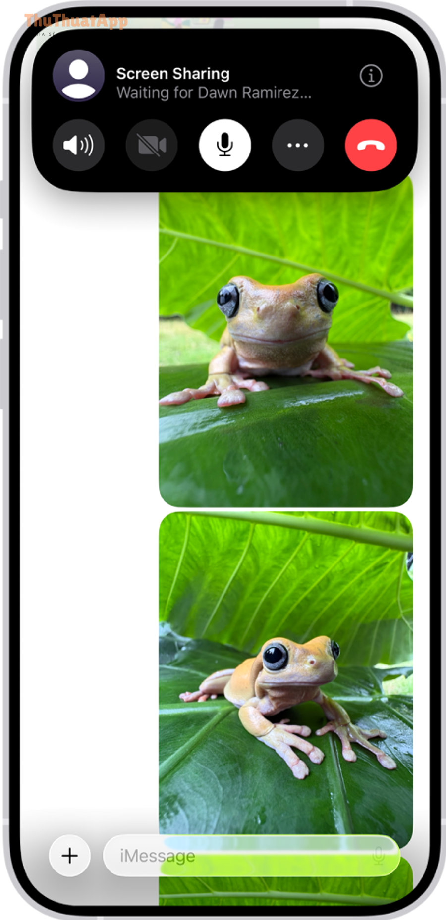 Cách bật SharePlay iPhone xem chung từ xa, khác xem một mình 7 Minh họa giao diện gọi khi chia sẻ nội dung