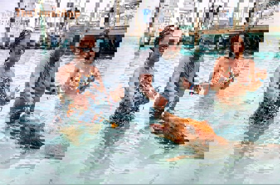 Biểu tượng ghim vị trí