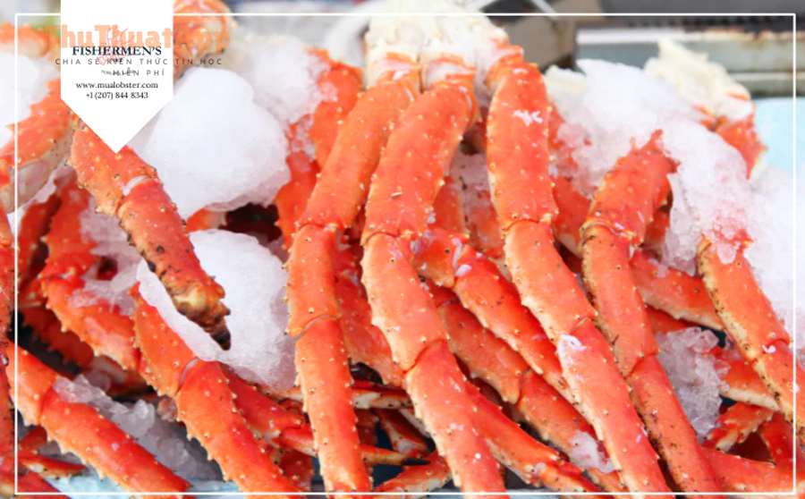 Tối ưu hồ sơ Instagram