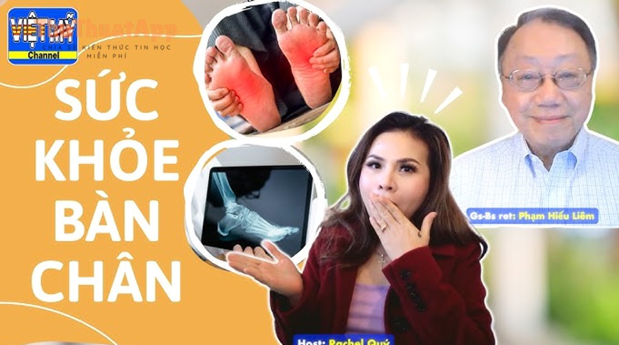 Hướng dẫn báo cáo kênh/video YouTube vi phạm cho người dùng, báo xấu