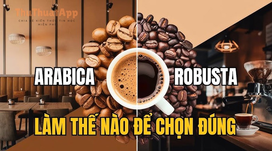 Xu hướng và cách tận dụng một cách có kiểm soát