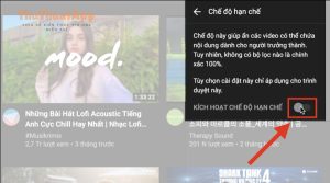 huong dan tat che do han che tren youtube.004 800x450 1