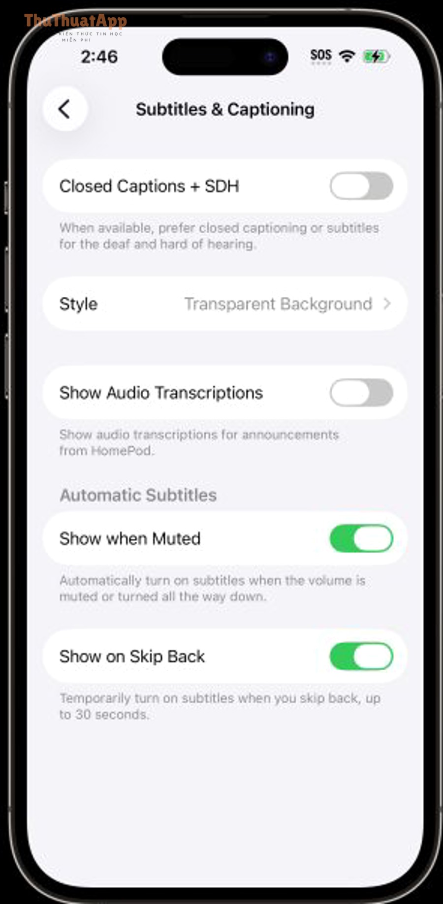 Màn hình Subtitles & Captioning trên iPhone