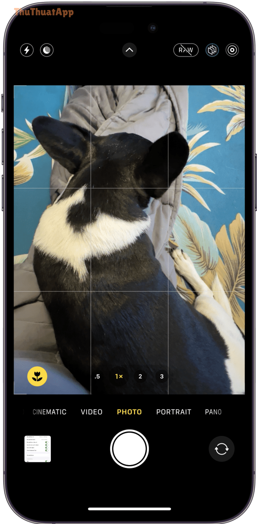 Hướng dẫn bật lưới Grid Camera iPhone cho người mới, tắt/mở 3 img 9021