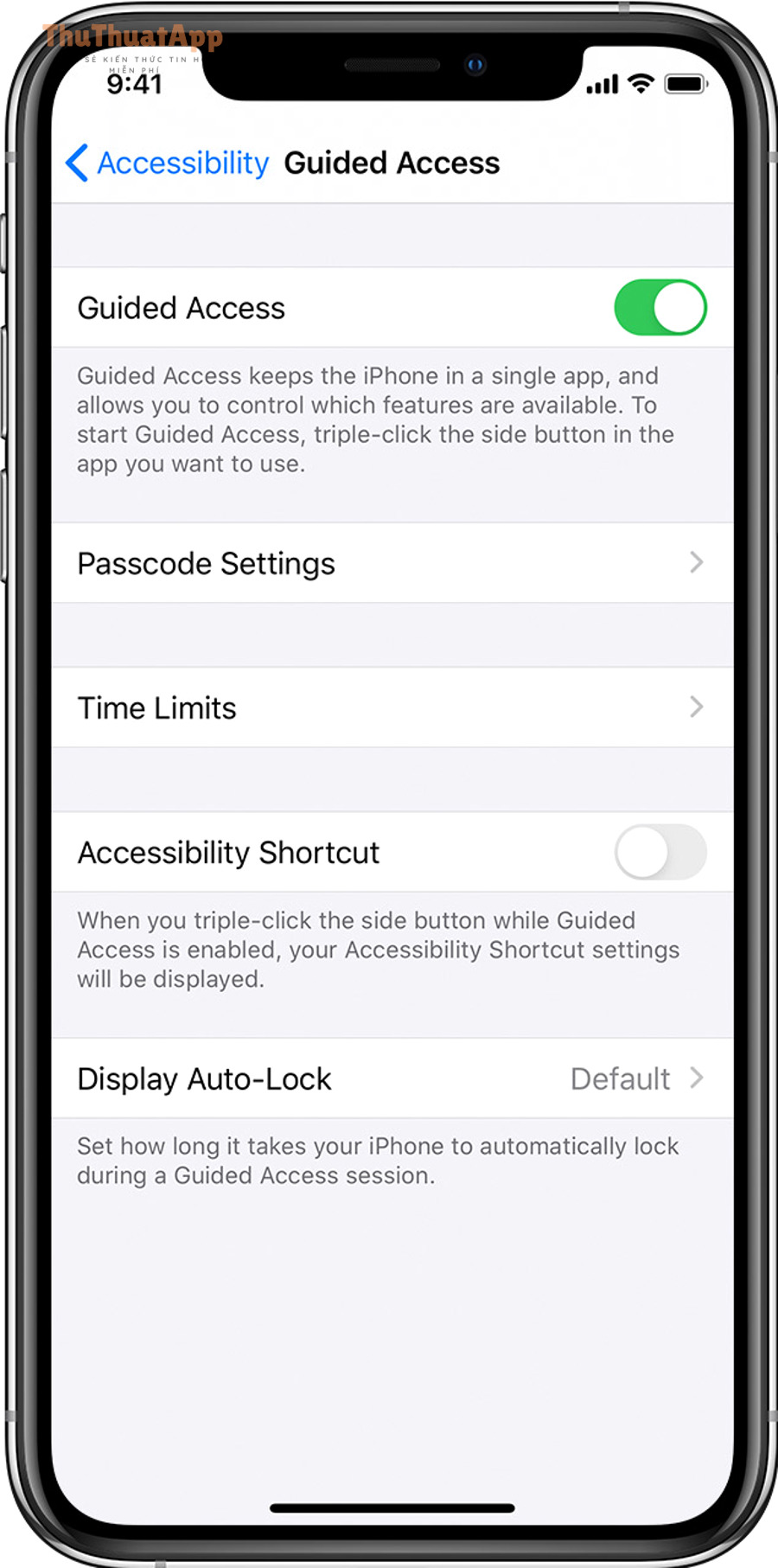 ios13 iphone xs settings accessibility guided access