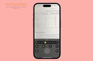 magnifier 0