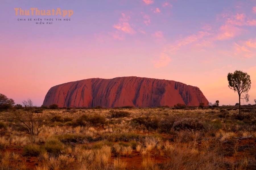 mobile.adapt .768.high