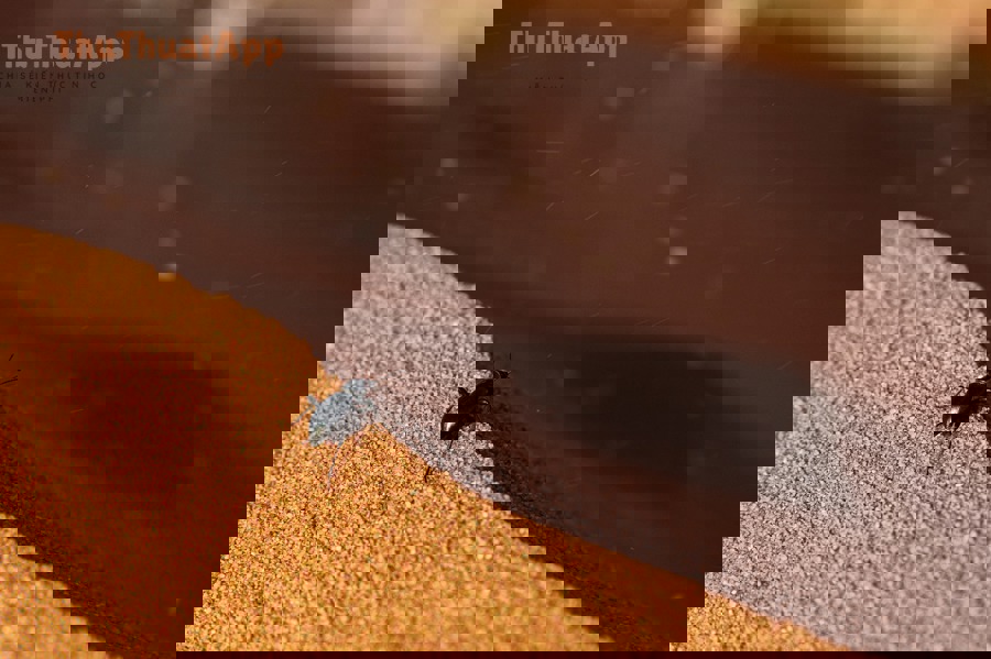 photo 1682687981715 fa2ff72bd87d